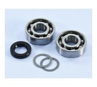 Kit Da Cuscinetti E Guarnizioni Di Albero Motore POLINI per Moto Ricambi Access