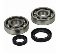 Kit Da Cuscinetti E Guarnizioni Di Albero Motore Prox-Suzuki rm80/rm85 per Moto