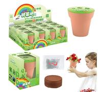 Kit da giardino per bambini al coperto | Kit da giardinaggio per bambini,Mini Fiori E Verdure Osservazione Fai Da Te Fiori In Vaso, Scienza 'asilo E Regalo Di Prima Educazione