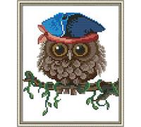 Kit da Ricamo 11CT Punto a Croce Timbrato Fai-da-te, Linea Completa di Kit Per Principianti Prestampati - Cappello gufo 24 x 28 cm