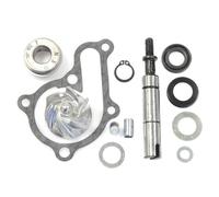 Kit Da Riparazione Pompa Acqua TECNIUM per Moto Ricambi Accessorio