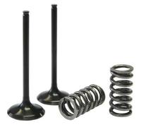 Kit Da Valvola Acciaio E Molla PROX Aspirazione Honda 28.sis1336-2 per Moto