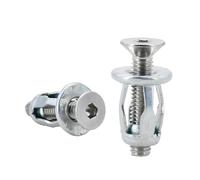 Kit dadi di serraggio, dadi rivettati, bulloni a forma di petalo, viti di espansione M4 M5 M6 M8, 20/30/50 pezzi(Flat Head (Silver),M4x20(20Pcs))