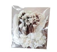 Kit de bricolaje Con Flores secas y hojas naturales | Flores secas naturales y vívidas para Marcos de Fotos, manualidades, moldes de resina y fabricación de velas