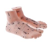Kit Dei Punti di Riflessologia Del Modello Dei Piedi di Agopuntura Da