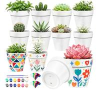 Kit di 12 vasi da fiori in plastica per piante, piccoli vasi per piante grasse, include Pennelli, Colori E Etichette Per Le Piante, Kit fai da te per Compleanni e Pasqua