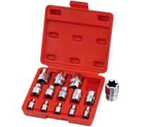 KIT DI 14 CHIAVE A BUSSOLA TORX FEMINA E4 A E24