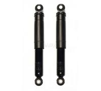 Kit di 2 ammortizzatore NPS R497T18 per RENAULT MASTER