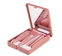 Kit di 5 pennelli da trucco con cipria sciolta per fondotinta, eyeliner, set di pennelli da trucco con custodia a specchio