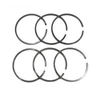 Kit di 6 fasce elastiche da 42,5 mm * 1,2 mm for motore for motosega STIHL 025 MS250 MS 250, parti di ricambio for 123 034 3006