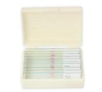 Kit di accessori per microscopio Set di sezioni for microscopio da 10 pezzi Campione biologico Vetrini per microscopio