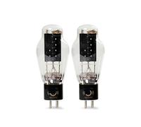 Kit di aggiornamento for valvola a vuoto WE300B KR300B 300B(2 pcs)