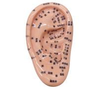 Kit di agopuntura dei semi dell'orecchio, kit di semina auricolare morbido tra cui modello da 5, 1 pollici, immagine, semi di agopuntura educativa per i bambini che apprendono