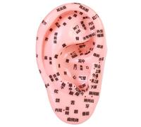 Kit di agopuntura dei semi dell'orecchio, modello a orecchio elastico in PVC con incisione acupoint chiara, intuitiva e precisa per agopuntura, ospedale, scuola, semina, kit di semi