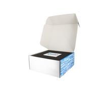 Kit di allaccio Co2 Swan per bombola ricaricabili
