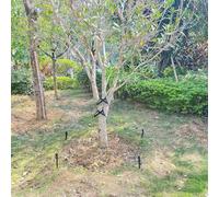 Kit di ancoraggio per alberi da giardino, con paletti, cinghie, corda, per raddrizzare alberi giovani