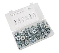 Kit di Assortimento di Dadi a Artigli da 80 Pezzi da 3/8 Pollici le Dadi a T in Acciaio Al Carbonio per Collegamento Alla Porta della Rete per Mobili Set di Dadi Agli Ioni di