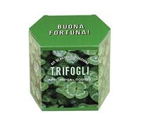Kit di Autocoltivazione di Trifogli | Coltiva il Tuo Trifoglio a Casa | Regalo Originale e Porta Fortuna Naturale | Resetea