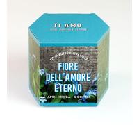 Kit di Autocoltivazione Fiore dell’Amore Eterno | Coltiva un Simbolo d’Amore Vero a Casa | Idea Regalo Romantica e Originale | Resetea