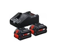 Kit di avviamento BOSCH 2× ProCORE18V+ 8.0Ah + GAL 18V-160 Professional 1600A02X03