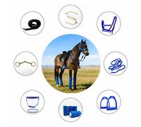 Kit di avviamento equestre 8 in 1: regalo con cavezza, redini, speroni,