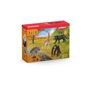 Kit di base Wild Life - SCHLEICH - 72162 - A partire da 3 anni - Nouvo