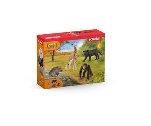 Kit di base Wild Life - SCHLEICH - 72162 - A partire da 3 anni - Nouvo