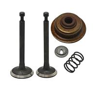 Kit di bloccaggio della guarnizione dello stelo del fermo della molla di aspirazione adatto for piccoli motori GX35 GX35NT HHT35S