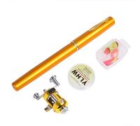 Kit di canna da pesca a penna da 1 m, leggero e portatile, completo di mulinello e lenza, ideale per gli appassionati di avventure all'aria aperta (Y4516 Gold)