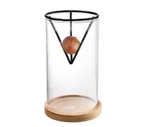 Kit di coltivazione di alberi di avocado, scaffale iniziale per alberi di avocado, vaso iniziale con base in legno, kit di coltivazione dell'albero di avocado 3 pezzi, vaso per coltivazione vaso, m