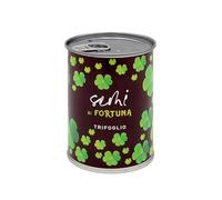 Kit di Coltivazione di Fiori da Regalare con Messaggio - Regalo per Feste per Donna e Uomo Regalo Originale Amici Famiglia Compleanno Natale - Facilissimo da Usare - 100% Realizzato in Europa