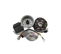 Kit di conversione 'accensione 'alternatore elettronico da 12 V for K54 RS RS-L RS-GS RM RMC(110 mm flywheel set)