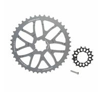 Kit di conversione per cassetta Stronglight sram 10v 42T/16T Gris