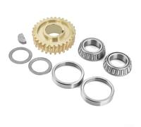 Kit di corse di cuscinetti per ingranaggi dell'albero a denti per Troy Horse Tiller per GW-11527 per GW-1064, 30 denti per montaggio cuscinetto in acciaio passo DX, set di riparazione coltivatore da