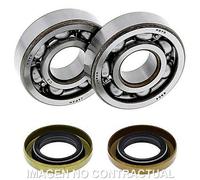 Kit Di Cuscinetti Coperchio All Balls 24-1102 Per Moto Ricambi Accessori