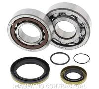 Kit Di Cuscinetti Coperchio All Balls 24-1115 Per Moto Ricambi Accessori