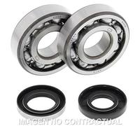 Kit Di Cuscinetti Coperchio Motore All Balls 24-1109 Per Moto Ricambi Accessori