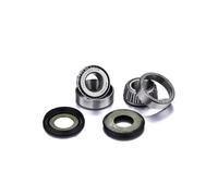 Kit Di Cuscinetti Della Colonna Di Direzione Factory Links Per Moto Ricambi