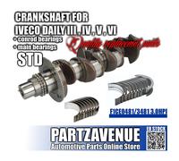 Kit Di Cuscinetti E Albero Motore IVECO DAILY Dimensione Standard 3.0HDI