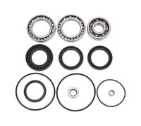 Kit di cuscinetti e ingranaggi con corona e pignone del differenziale posteriore adatti for H-nda TRX300FW 4x4 Fourtrax 300 1988-2000 TRX300 TRX 300 FW Accessori(Components)