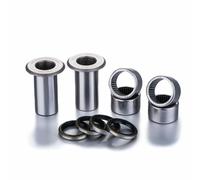 Kit cuscinetti forcellone FACTORY LINKS SAK-G-009