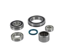 Kit di cuscinetti per bicicletta Black Bearing Giant Syncdrive Sport Argenté