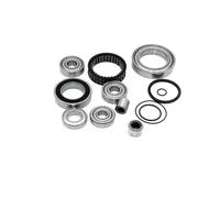 Kit di cuscinetti per il motore Black Bearing Bosch Generation 4 Argenté