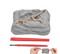 Kit di dig di dinosauro, kit di scavo di dinosauro - Scavalo dinosauro,STEM Learning Science Experiments con strumenti di archeologia per bambini, arti educative e artigianato Sensory Play