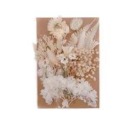 Kit di fiori pressati secchi - Piccoli fiori secchi naturali colorati |. Bellissimo set di fiori pressati per artigianato fai-da-te, materiali in resina con 10 disegni a colori, kit di erbe naturali p
