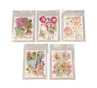 Kit di fiori stampati colorati vari usi per nail art, produzione di candele, 5 fiori secchi in una fretta per la progettazione di gioielli fai da te, 100 secchi (tipo