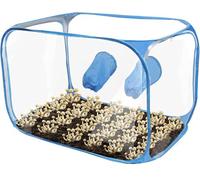 Kit di germinazione professionale per funghi - Box Still Air pop-up 91x59x58cm - Contenitore portatile e compatto per propagazione spore, orto e giardinaggio - Colore blu