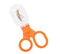 Kit Di Giocattoli Per Esplorare L'esterno, Lente D'ingrandimento E Cattura