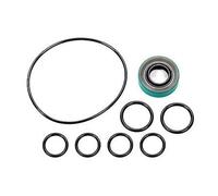 Kit Di Guarnizioni E O-Ring WATERMAN RACING COMP. WRC-29110 Per Pompe Sprint