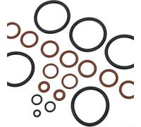 Kit di guarnizioni O-For per sistema di raffreddamento - Set di guarnizioni in gomma da 20 pezzi per OEM 1743299 13621743299 - Compatibile con tubi del refrigerante motore più involucri